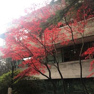 Meet your Posher, Tonya